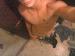 jayjay32100