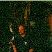 Jebus1995