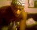 jjdog38