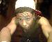 Jsmooth533