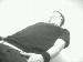 justlee_