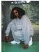 kingstretch