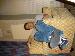 kj_319