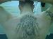 laydback62