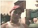 lil_indian6