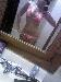lilrayray9090 from Birch Tree 