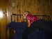 littlered9