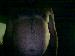 lonely1horny2