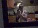 mattycarter