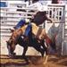 medhatcboy