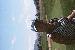 Mike54321