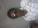 Mikky2010