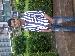 mogambo