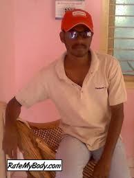 mugil