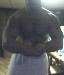 mystermuscle