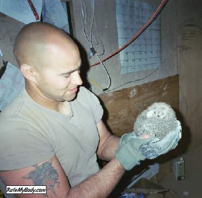 NGFL_2004