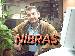 nibras