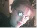 nifer_279