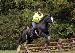 No1horseman