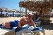 Norfolk_Fun