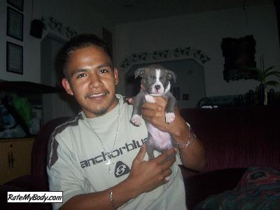 onixpitbull