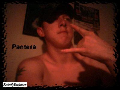 pantera