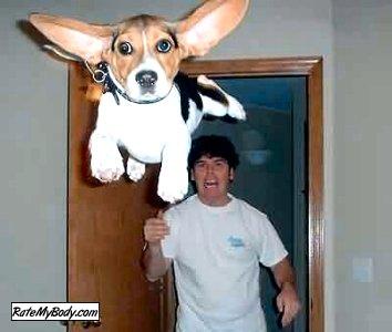 pete0090