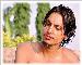 pradeep