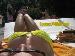 Queens from -