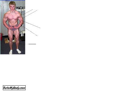 rate_my_abs