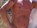 richie7734