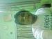 ROYGAURAV222806