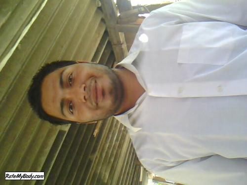 Robin252