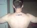 robb38