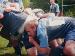 rugbyplayer13