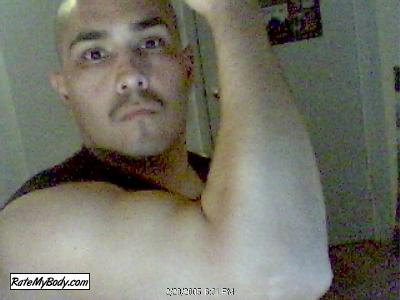 SemperFie