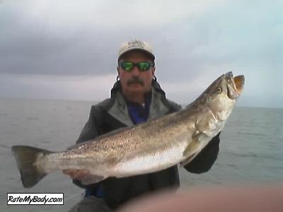 searay123dav