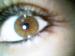 secksy_23
