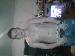 sexyiceman34