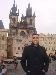 shadymagdy