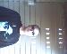 shawncooper666