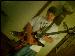 shred4ever1