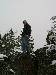 skier_chris from Bozeman