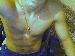 Stylo