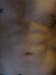 stacker_08