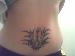 starburstbaby20 from corpus christi