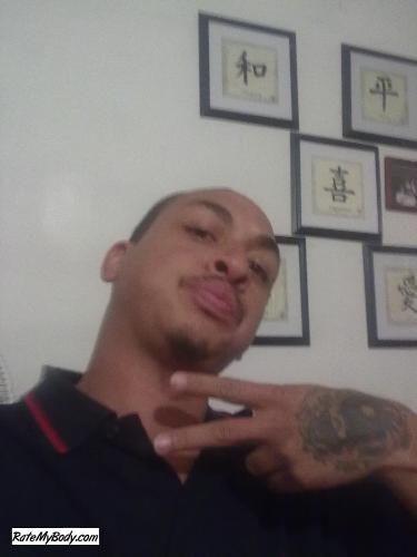 stev13