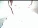 strip4mepls