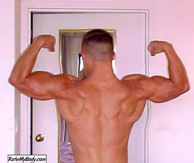 stud33