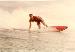 Surfer007